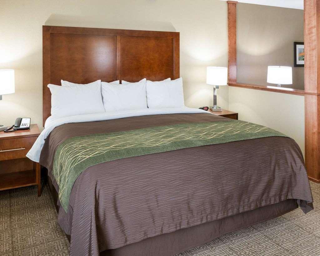 Comfort Inn & Suites West - Medical Center Rochester Phòng bức ảnh